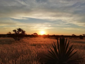 Jansen Kalahari Guest Farm